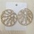 Europe and American earrings