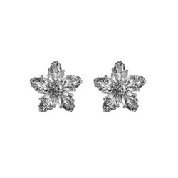Korean style Five-pointed star zircon exaggerating ear stud woman temperament ..