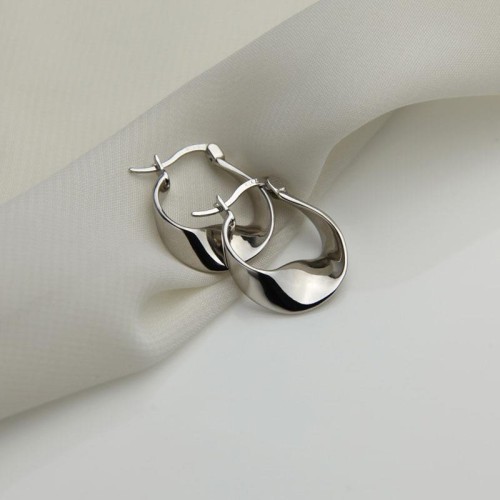 occidental style surface pattern earrings woman fashion personality silver Earring trend creative ho