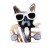  cartoon eyes dog brooch flower  Acrylic man woman fashion bag bag ornament samll gift