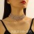 occidental style exaggerating claw chain series Rhinestone multilayer necklace woman fashion trend person