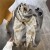 Autumn and Winter occidental style wind Double blue patchwork imitate sheep velvet Double surface warm scarf Jac