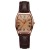 ( Brown)lady quartz watch-face  retro belt watch woman student bref watch woman