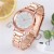 bref retro woman watch-face samll hgh stanless steel watch quartz lady watch