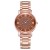 bref retro woman watch-face samll hgh stanless steel watch quartz lady watch