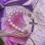 omen atches damond nght-lumnous watch  lady belt woman watch-face quartz watch-face watch