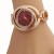  swan lady watch Bracelets student bref temperament small fresh woman watch-face