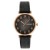  dgt slca gel lady watch woman watch-face student watch-face quartz watch-face