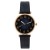  dgt slca gel lady watch woman watch-face student watch-face quartz watch-face