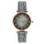  dgt slca gel lady watch woman watch-face student watch-face quartz watch-face