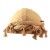  new occidental style wind man color hedging Double layer