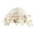  new occidental style wind man color hedging Double layer