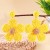 Yellow (SKU: JE015311_3) 