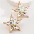 occidental style Alloy diamond Five-pointed star earrings woman exaggerating fully-jewelled high