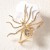  occidental style retro wind Alloy opening exaggerating spider ring high creative