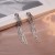  big same style super long tassel earrings woman occidental style exaggerating fashion personality