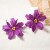  Bohemia exaggerating personality trend big flowers flowers ear stud all-Purpose fashion wind woman style