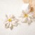  Bohemia exaggerating personality trend big flowers flowers ear stud all-Purpose fashion wind woman style