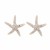  occidental style lady all-Purpose high ear stud   embed starfish fashion all-Purpose lady earrings