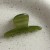  gold samll ethylic acid lovely half hair clip woman hair clip