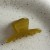  gold samll ethylic acid lovely half hair clip woman hair clip