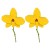 E occidental style fashion wind petal earrings  exaggerating enamel Metal big flowers ear stud woman