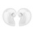  Alloy Metal Shells ear stud lady all-Purpose trend fashion Street Snap