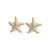 summer Alloy enamel starfish earrings occidental style Earring womanins wind trend star ear stud