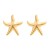 summer wind starfish earrings Alloy Earring woman occidental style exaggerating surface Metal