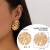 occidental style exaggerating pattern surface Round ear stud  briefins Metal Earringearrings