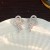 fashion high embed zircon rope earrings samll silver ear stud temperament wind Earring