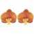 occidental style Country style imitate butterfly flowers ear stud woman  sweet exaggerating wind flowers necklace