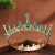  bride circle crown head occidental style Rhinestone married day Headband