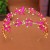 occidental style bride Rhinestone belt head Double layer Headband handmade eyes watch-face Modeling
