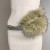 (Rice white ) diamond splice belt  belt Y all-Purpose buckle eyes belt