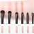 (6 black) eyes set eyes eyes eyes samll