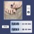 (J89 Dark blue) blue foot cat foot Nail Sticker spring summer toenail Sticker Wear Armor fake nails
