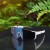 ( blue  frame  purple  pink Lens ) occidental style sunglass man Colorful Outdoor sport woman