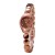 (Coffee )watch lady watch woman style samll samll student woman watch-face quartz watch-face