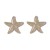 ( Gold)occidental style geometry wind Metal starfish ear stud  woman Japan and Koreains wind brief