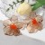 exaggerating personality trend fashion Acrylic transparent flowers ear stud   all-Purpose temperament Street Snap fa