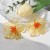 exaggerating personality trend fashion Acrylic transparent flowers ear stud   all-Purpose temperament Street Snap fa