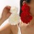 E Chiffon big flowers earrings  temperament elegant exaggerating sweet Earring