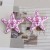 occidental style new Alloy enamel print starfish earrings all-Purpose medium wind Five-pointed star ear stud