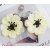 ins wind samll occidental style earrings geometry flowers ear stud woman Alloy enamel diamond flowers gold Earring