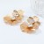 occidental style flowers hollow diamond multilayer highins wind earrings exaggerating gilded ear stud