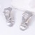 silver (SKU: JE017495_1) 