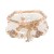 White (SKU: JE017544_2) 
