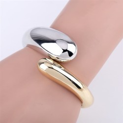 fashion occidental styleins wind drop surface bangle  double color splice Alloy wind