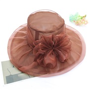 (Coffee )flowers nets yarn retro elegant Double layer sun hat foldable sunscreen big woman summer